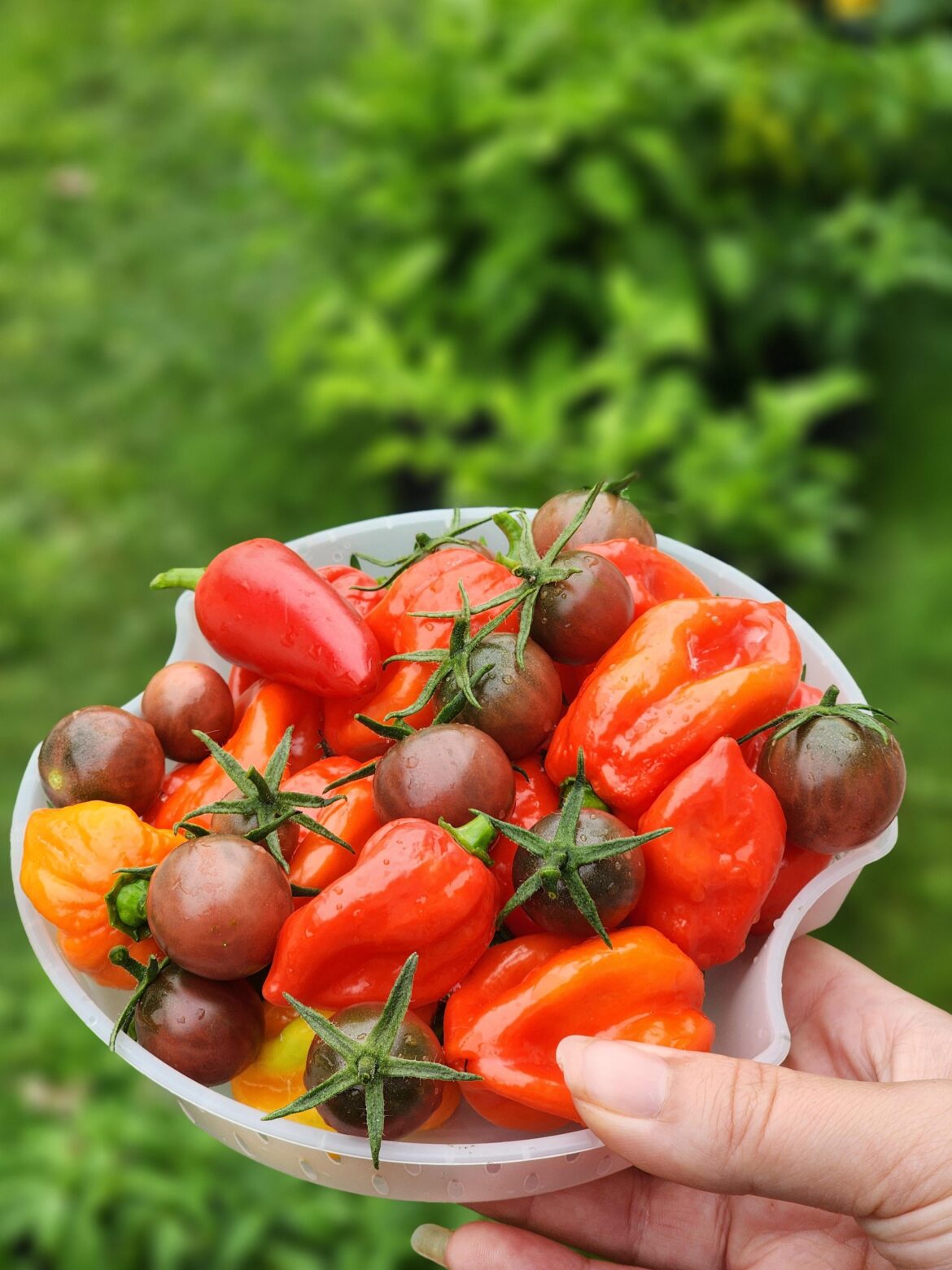 Lets freaking goooo!