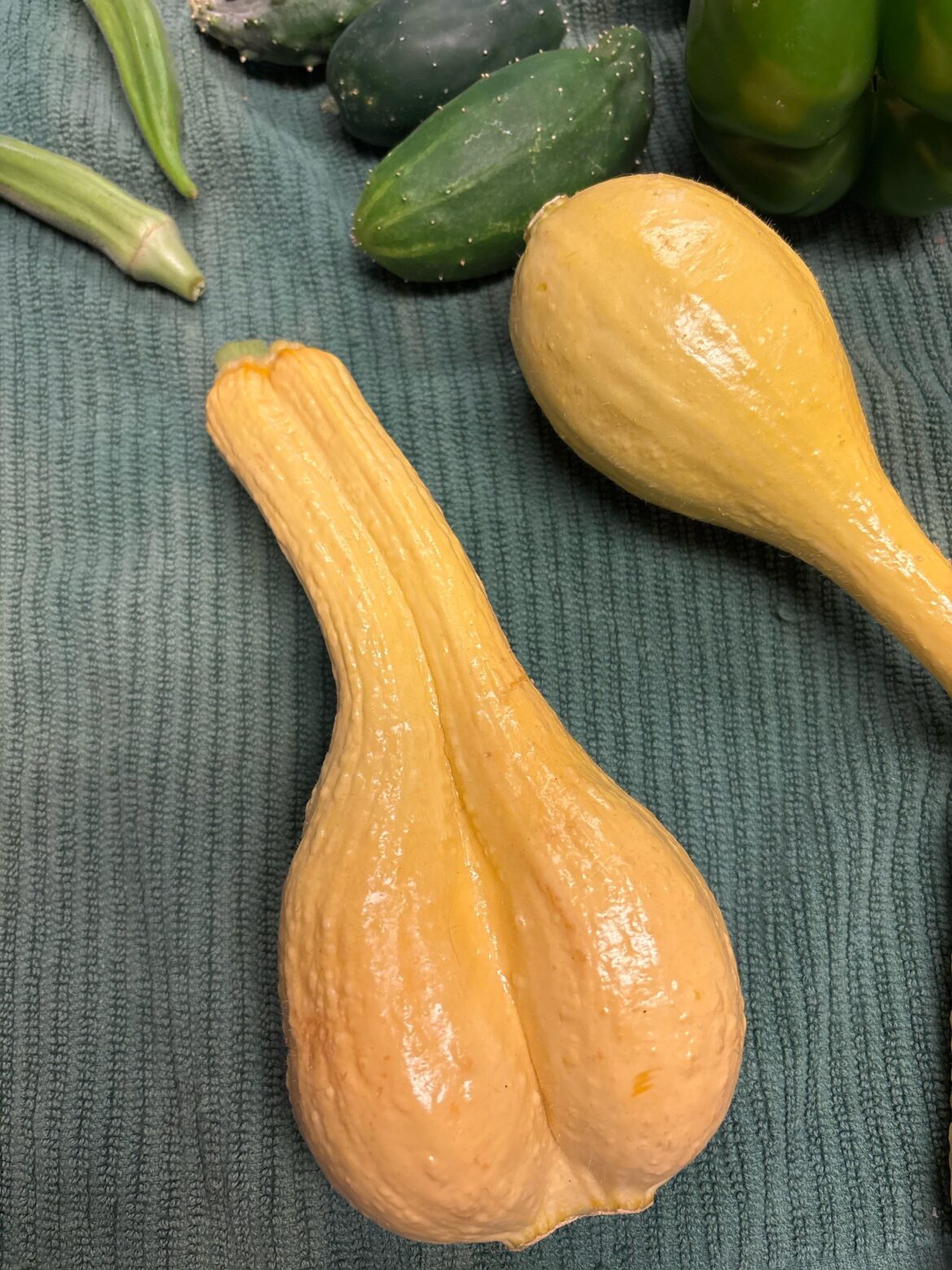 Behold, the pride of our harvest?