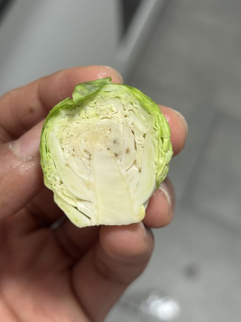 Have these gone bad?