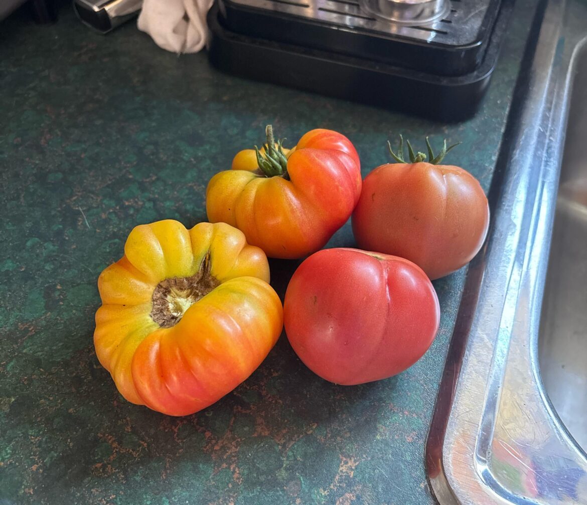 Super excited to try these! Super excited to try these!