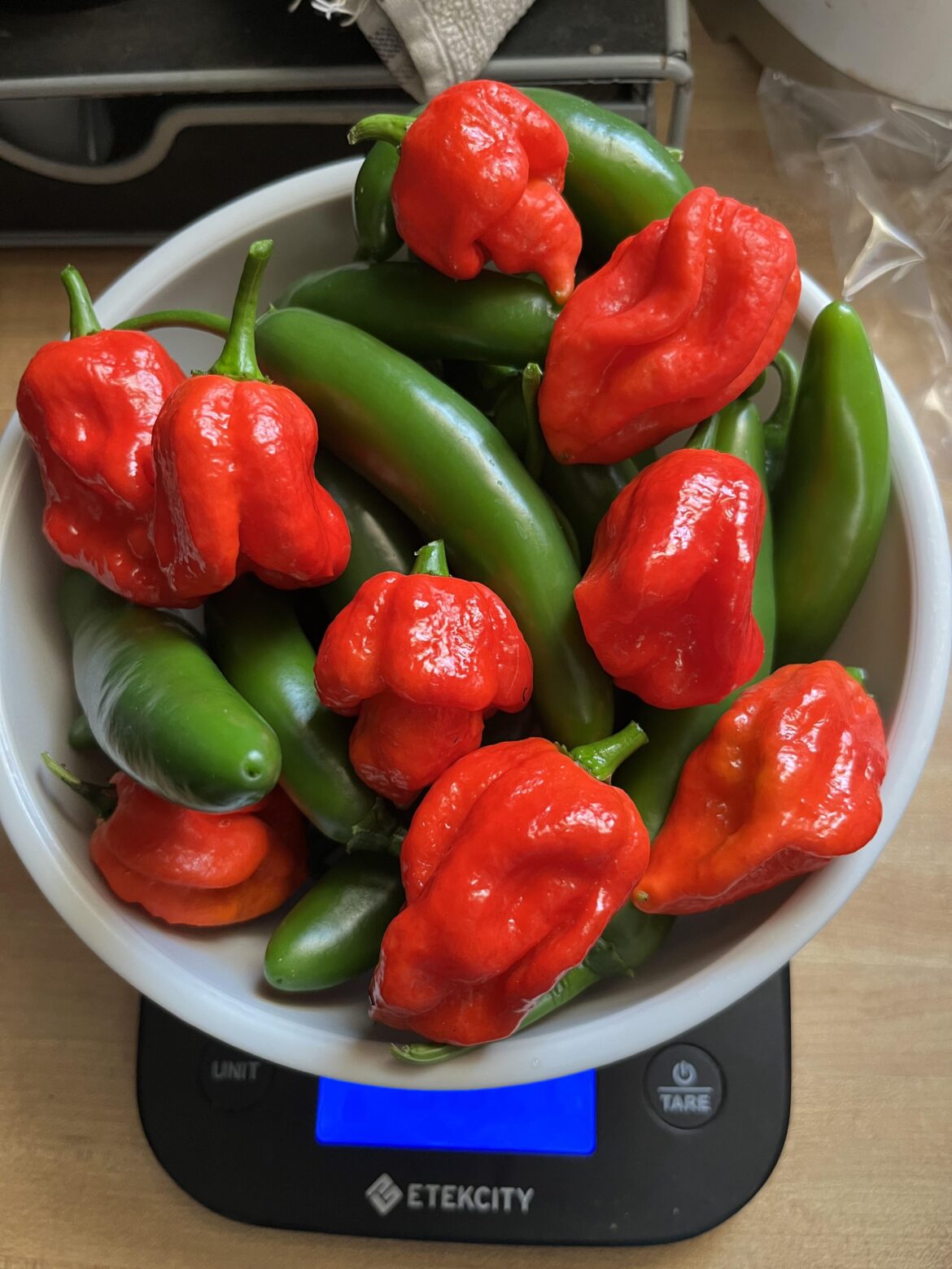 First harvest! First harvest!