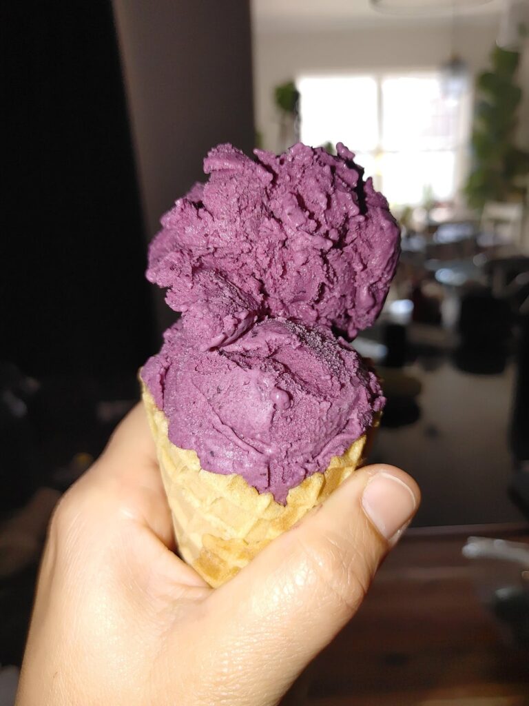 Blueberry Ice Cream
