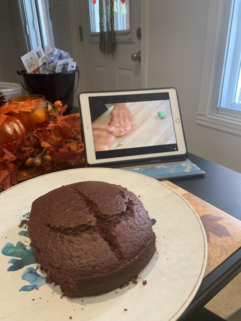 A brain cake I made for a Halloween party! 🧠