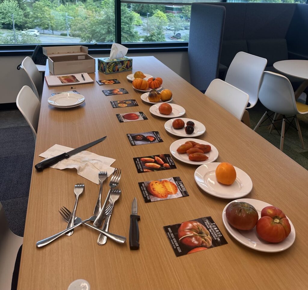 Tomato tasting! Tomato tasting!
