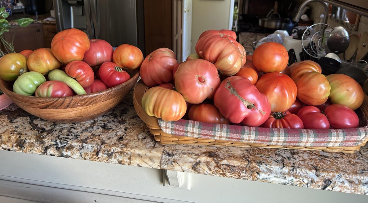 Best time of year 🍅🏈