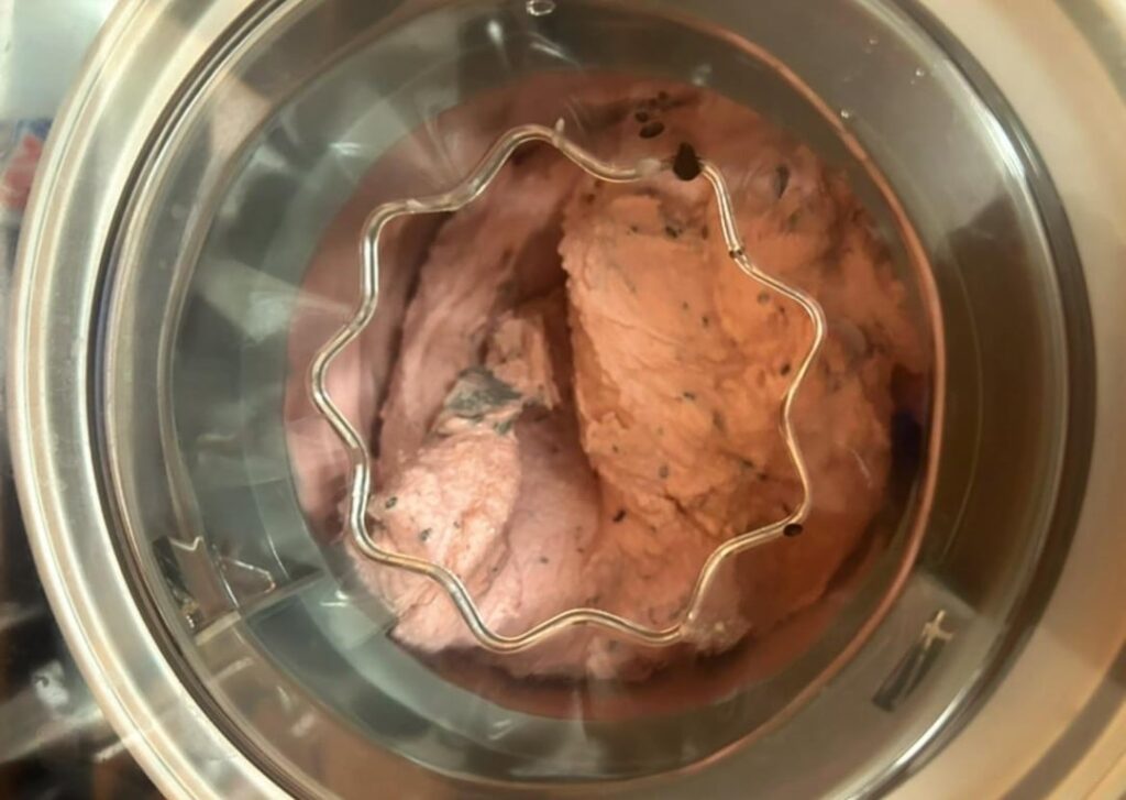 Raspberry chocolate chip ice cream