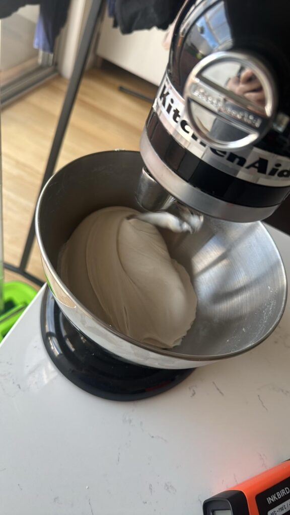 100% Biga - first attempt