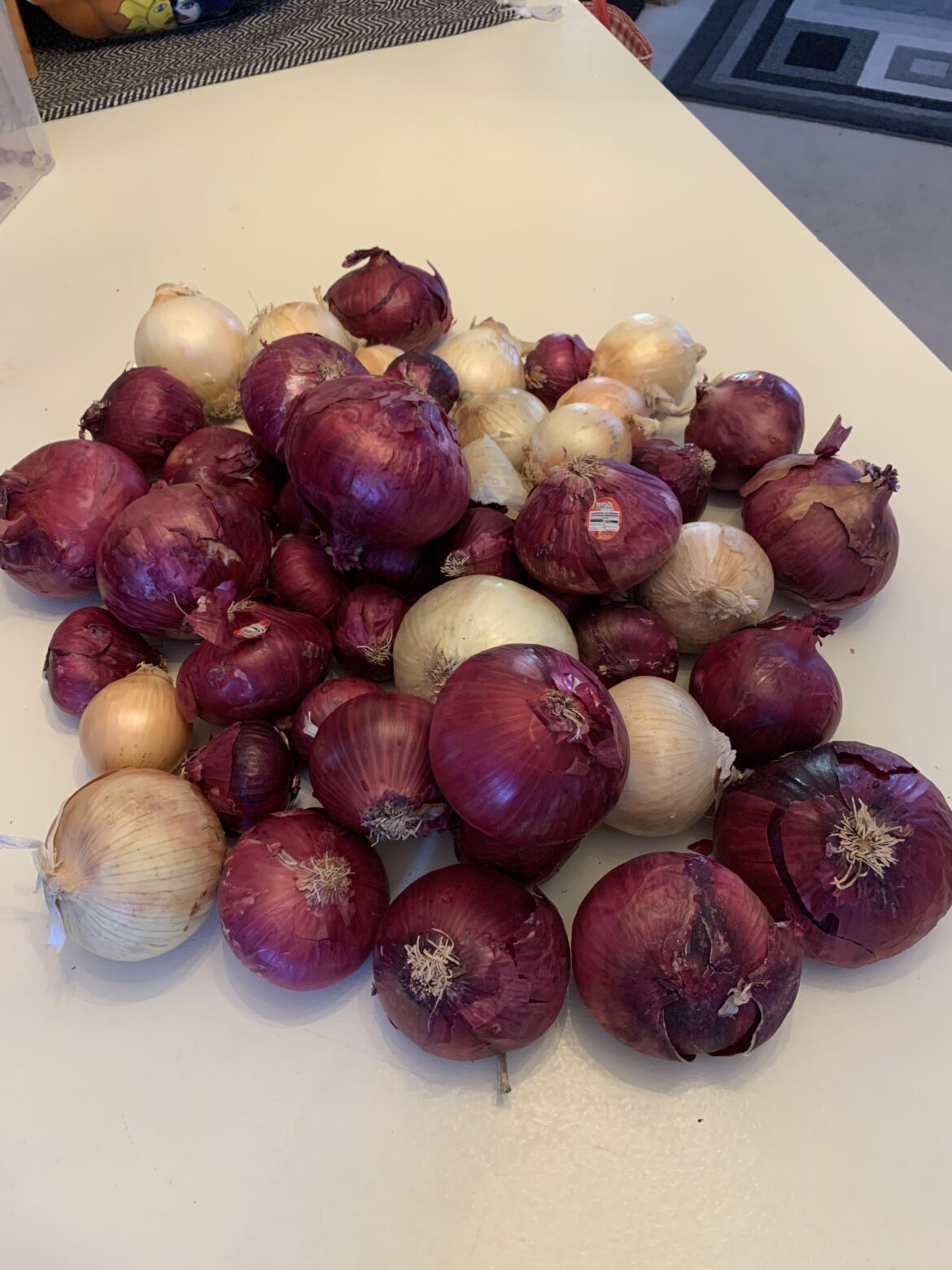 I live alone. Love onions, but what should I do with all these?