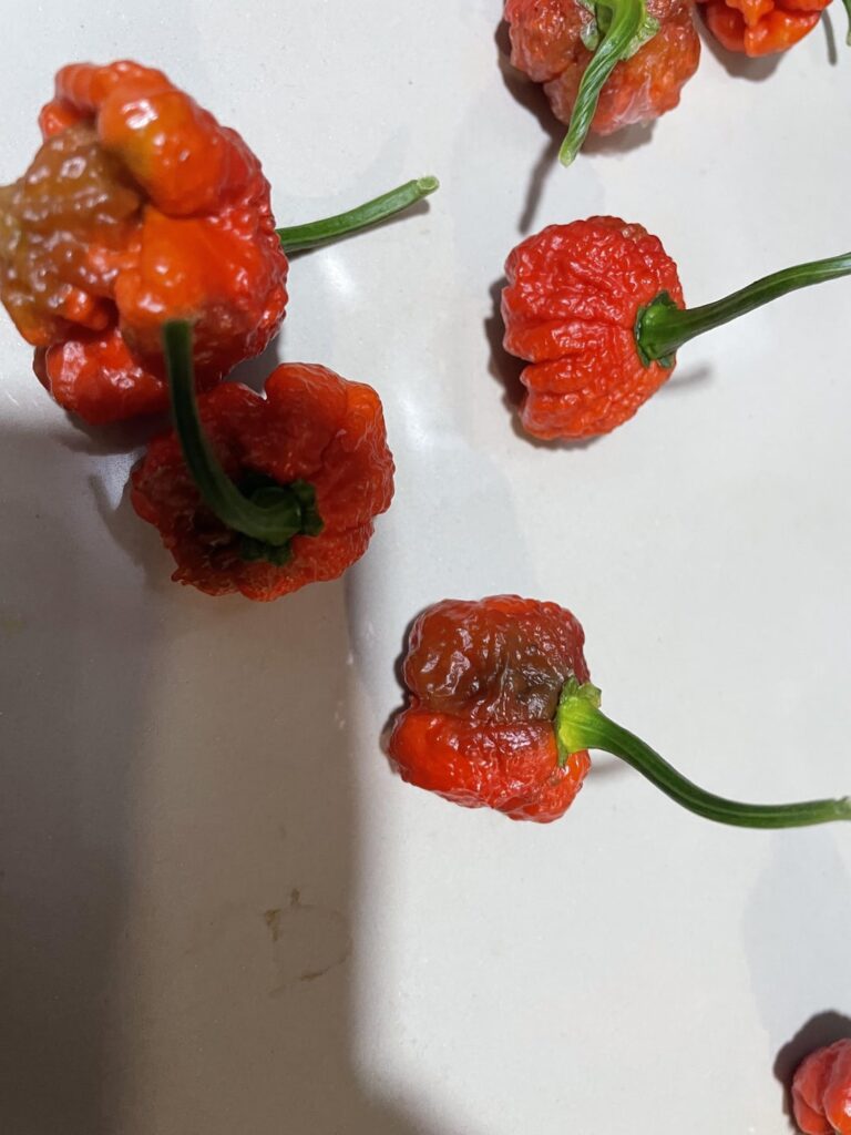 Help Reapers not surviving