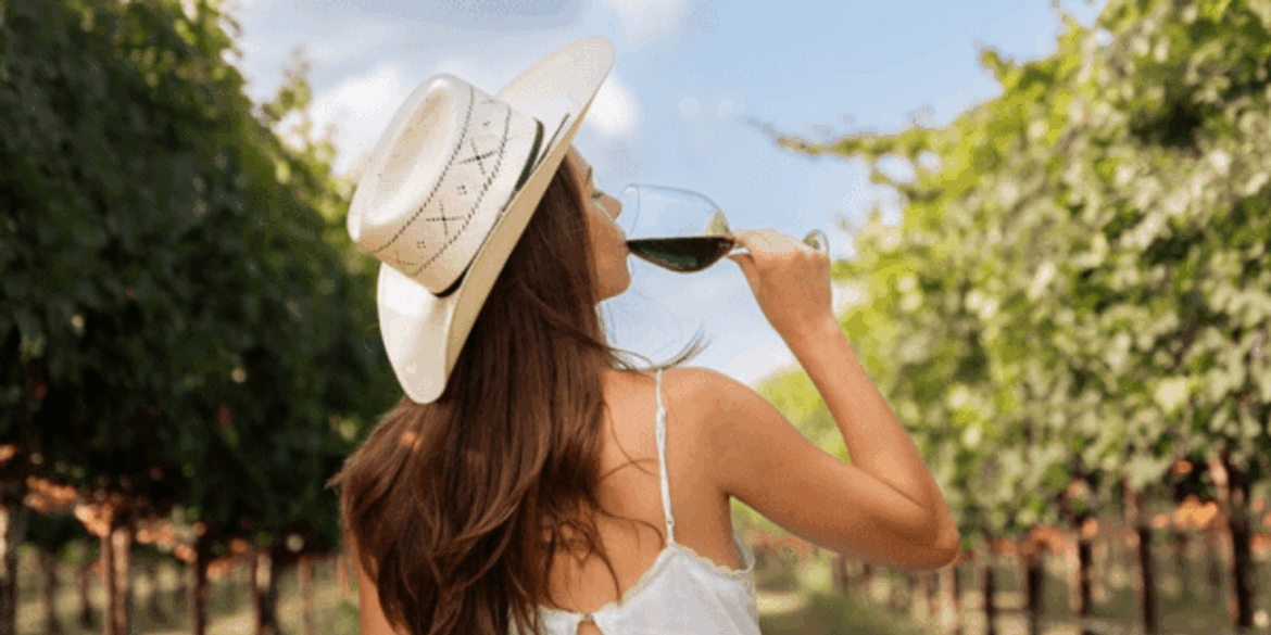 Texas Hill Country wineries host single-day fall Wine Camp