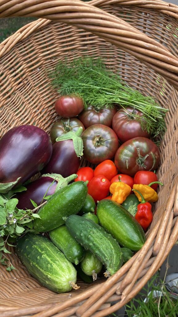 All from grow bags on my deck