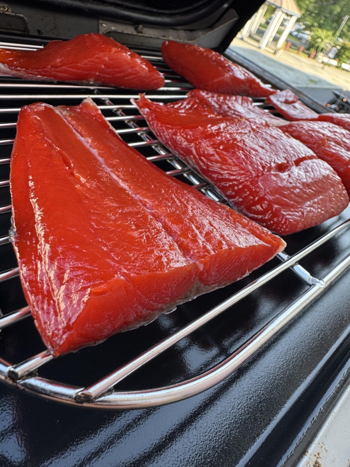 Sockeye Salmon