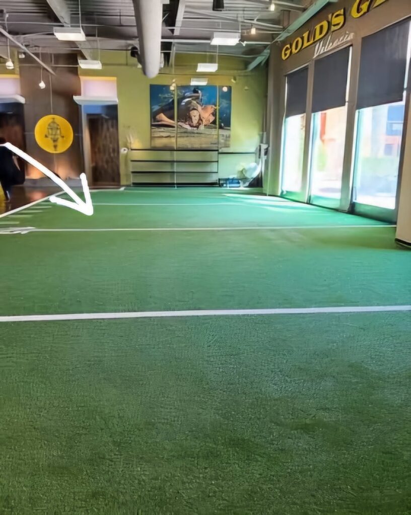 Found a random pepper seed at the gym. Wonder what it will be. I'll call the gym blossom. Lol