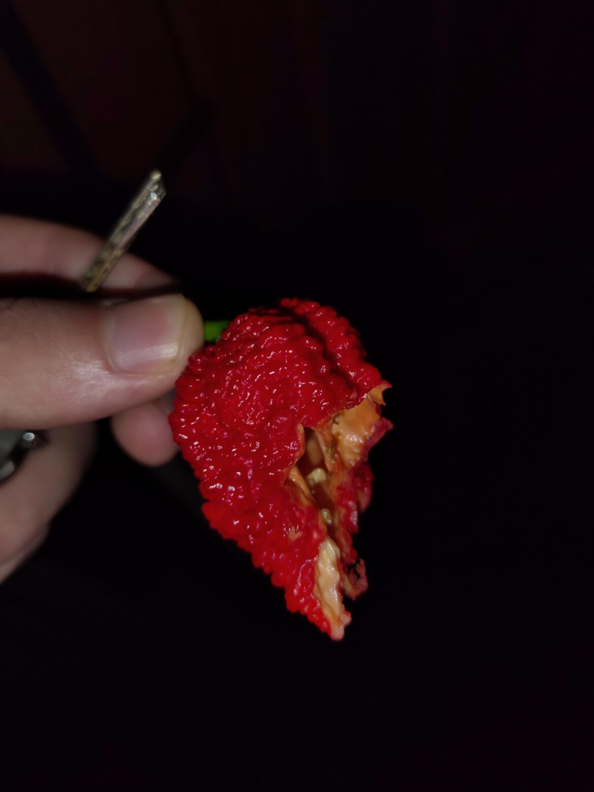 I found out what Carolina Reaper means I found out what Carolina Reaper means