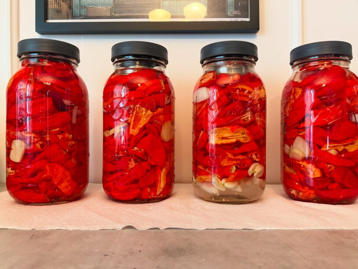 The fermenting begins!