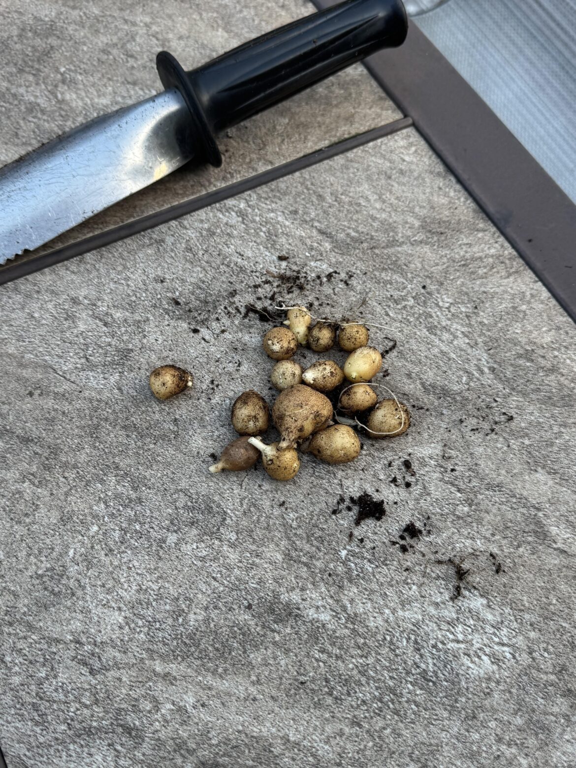 Should I volunteer to make mashed potatoes for Thanksgiving??