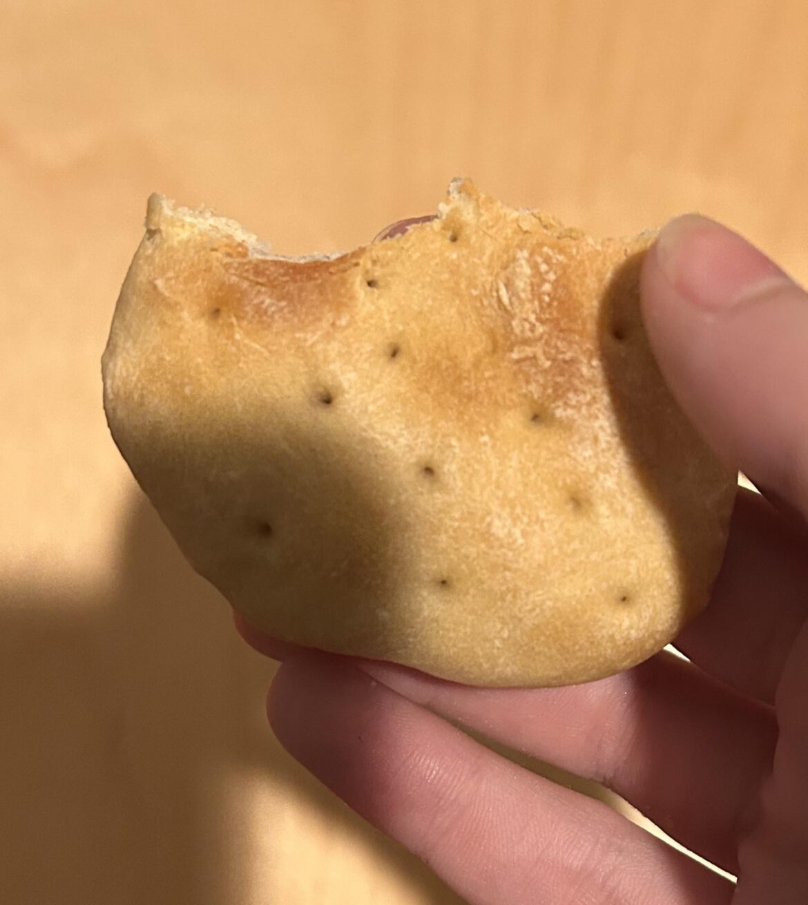 I tried making hardtack but it didn't break my teeth so I obviously did it wrong.