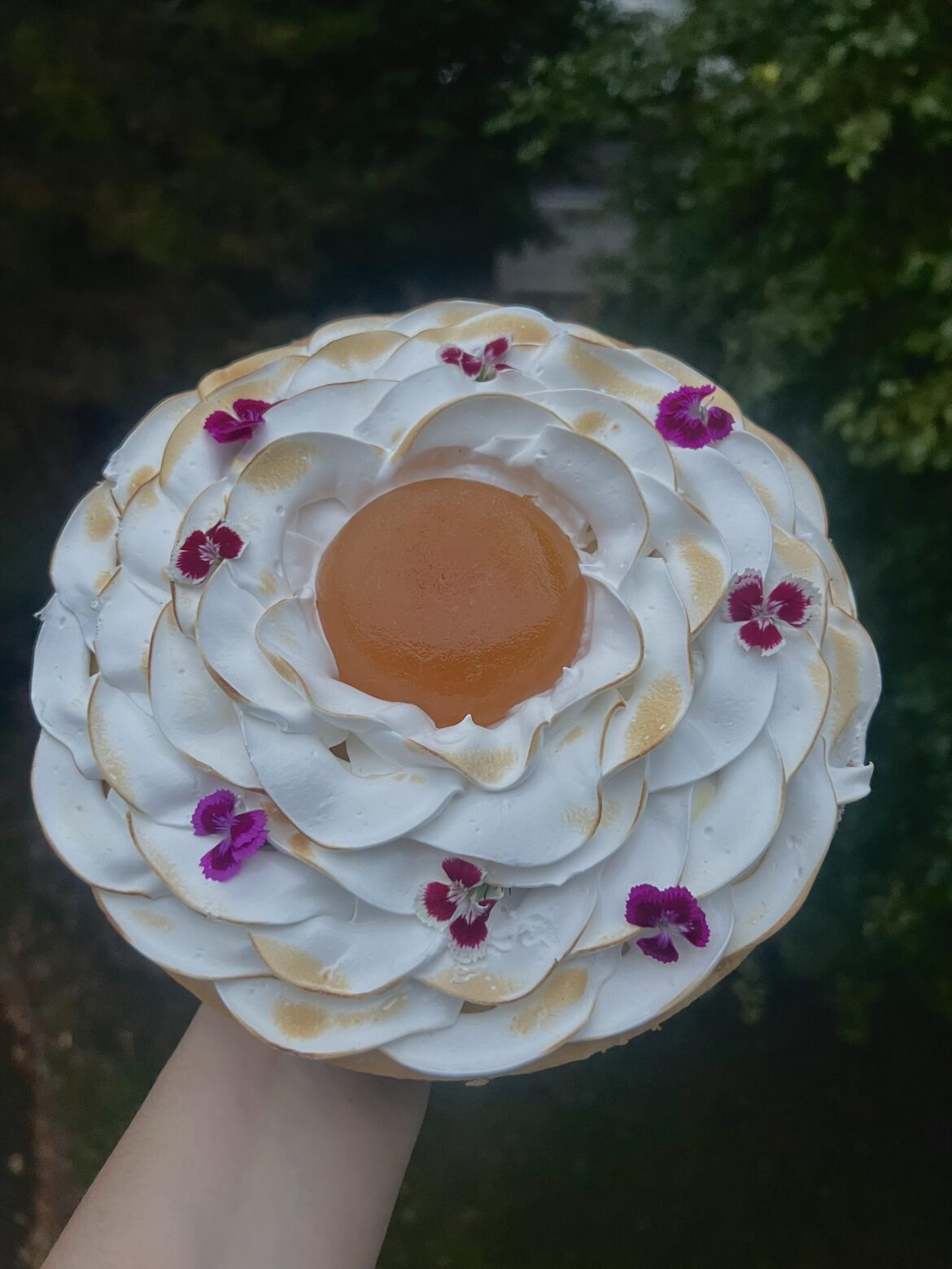 Lemon meringue pie 🍋