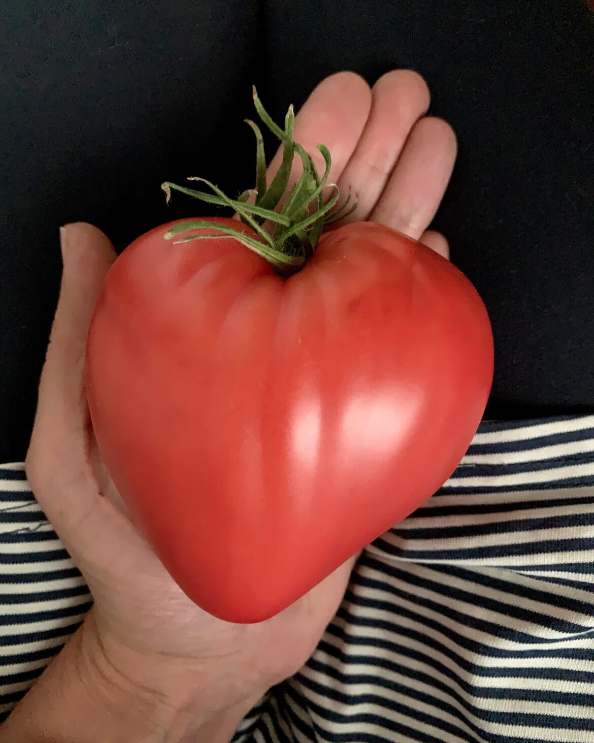 Heart stolen? No problem, your garden will gift you a new one.