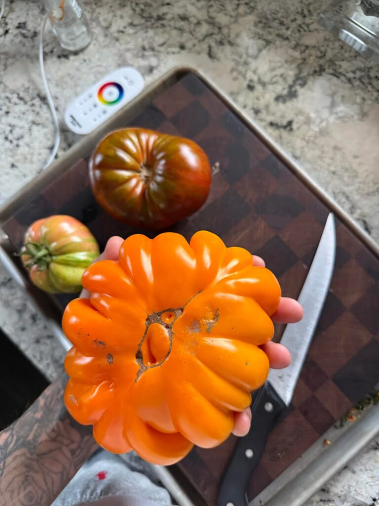 These two were calling me.