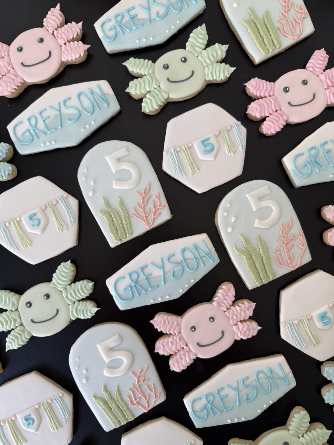 Axolotl 5th birthday!