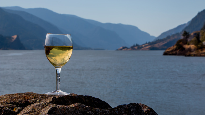 A glass of white wine balancing on a rock overlooking a view of a lake in Washington