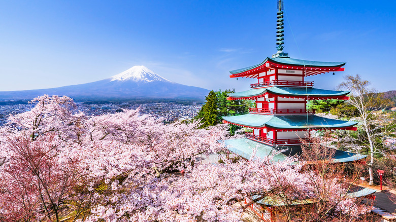 Japanese architecture in front of a snowy mountain