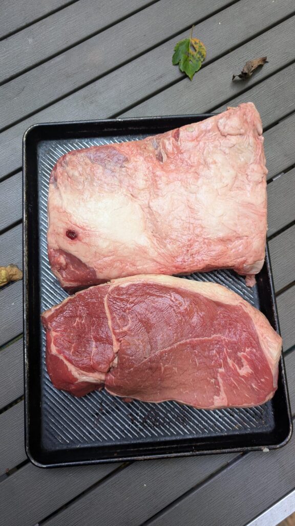 What to smoke tomorrow to kick off the labor day weekend?