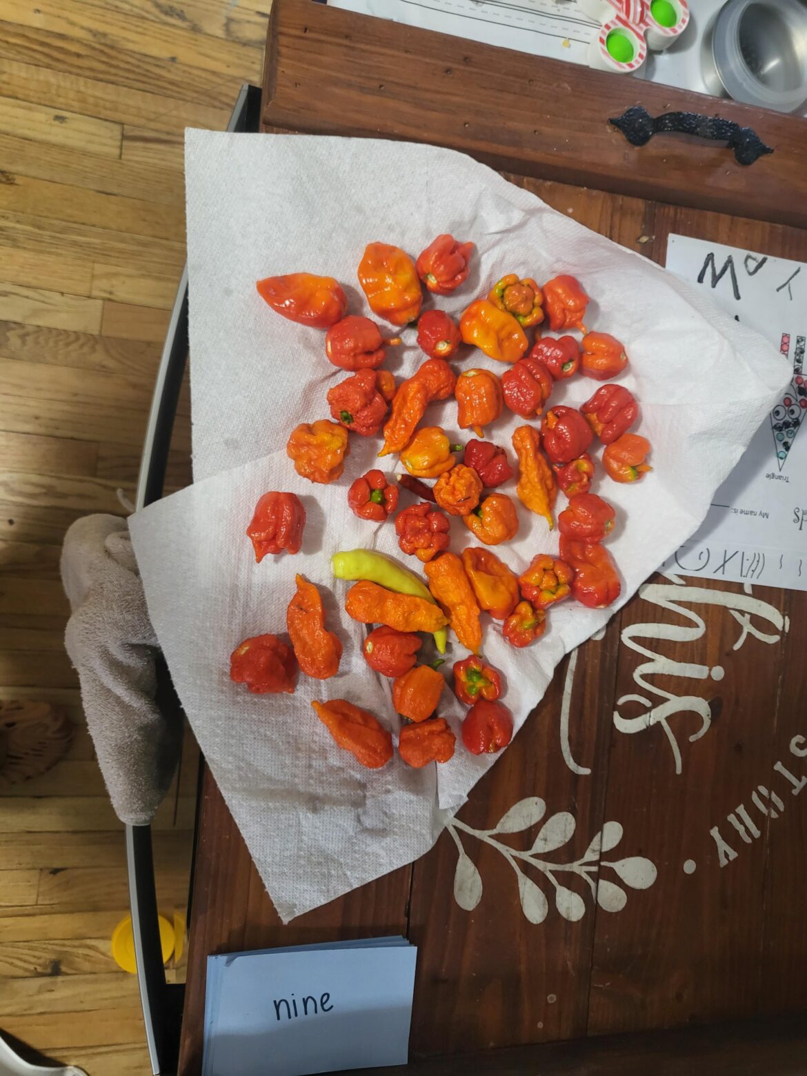 Finally got some ghosts! Harvest for today