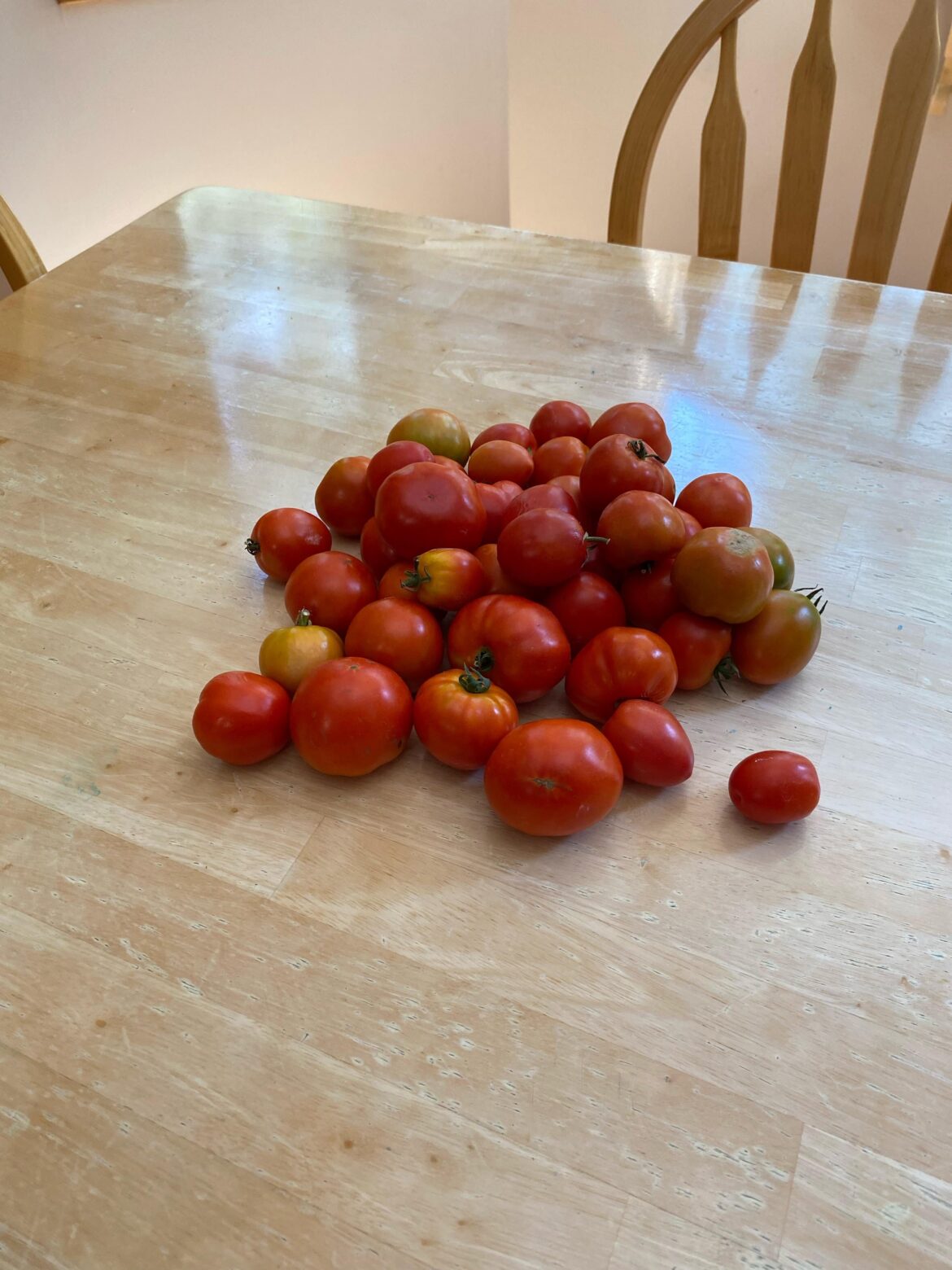 Need help with salsa production