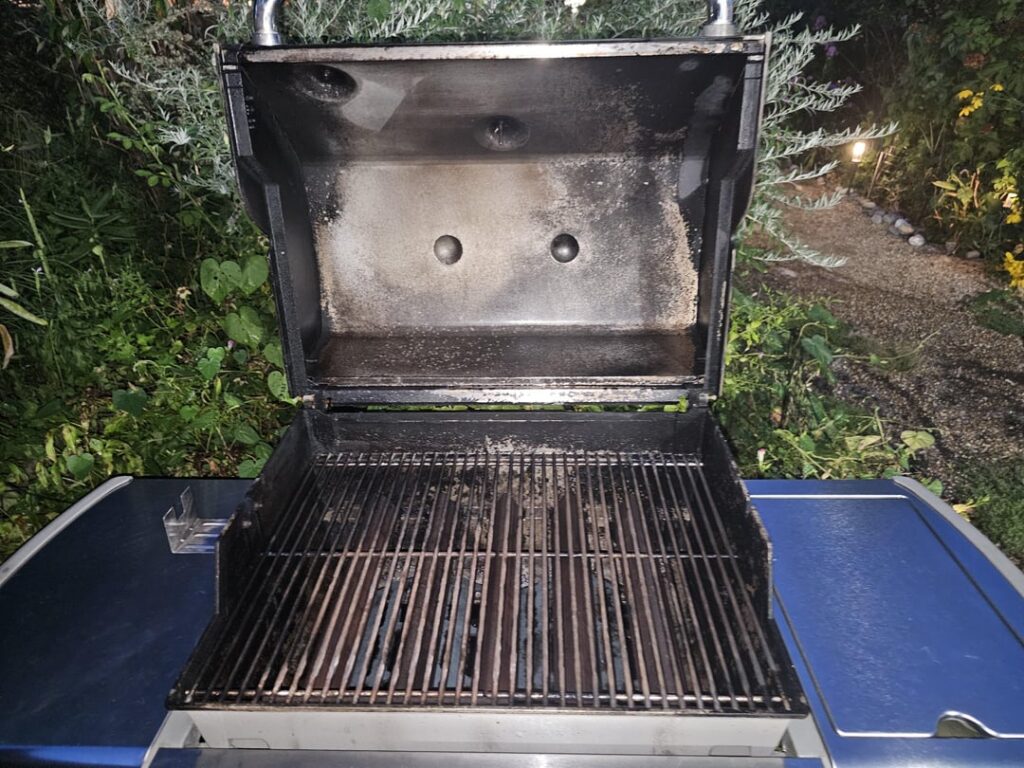 Bought my first grill(used). $100 and an hour drive both ways. Wife says I got ripped off. Is she right?