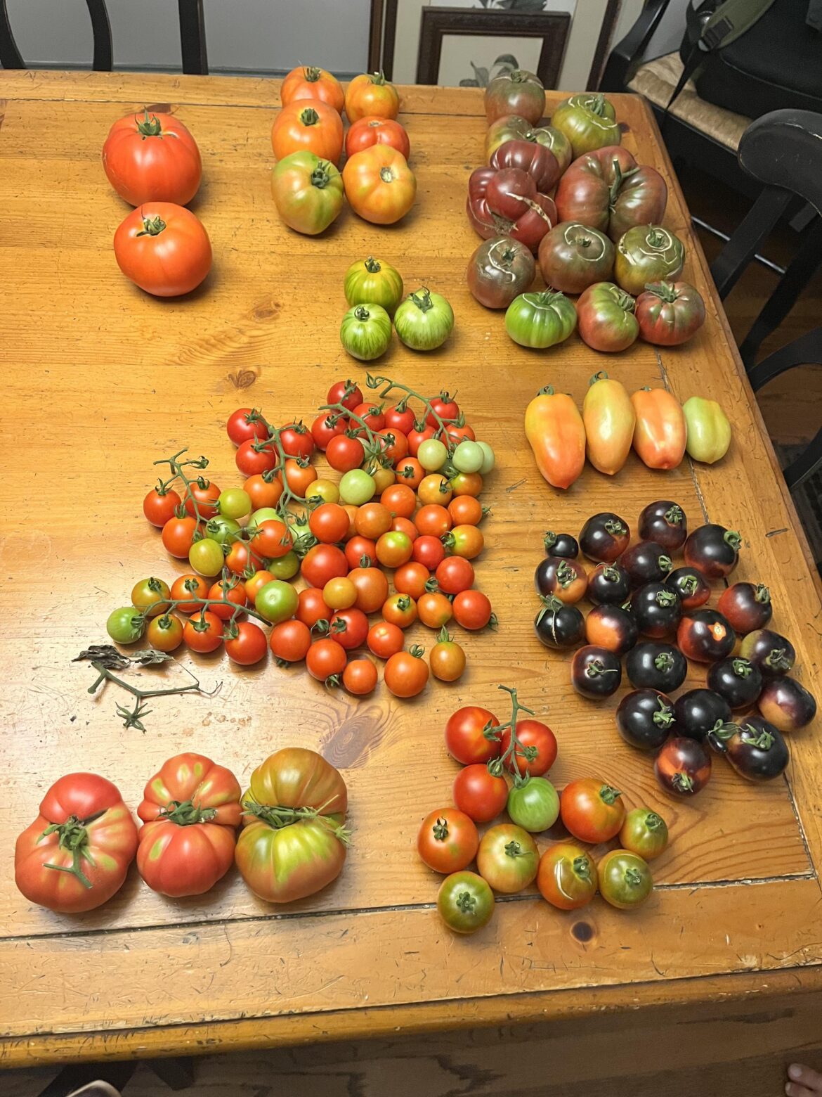 Finally able to take a day to harvest!