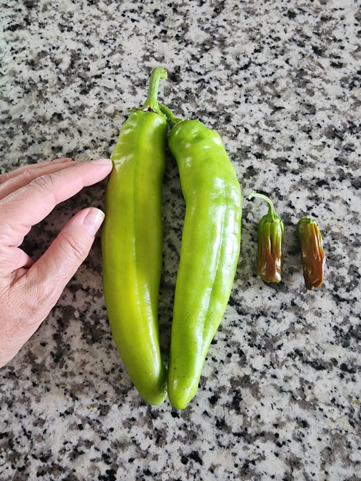 What kind of peppers are these?