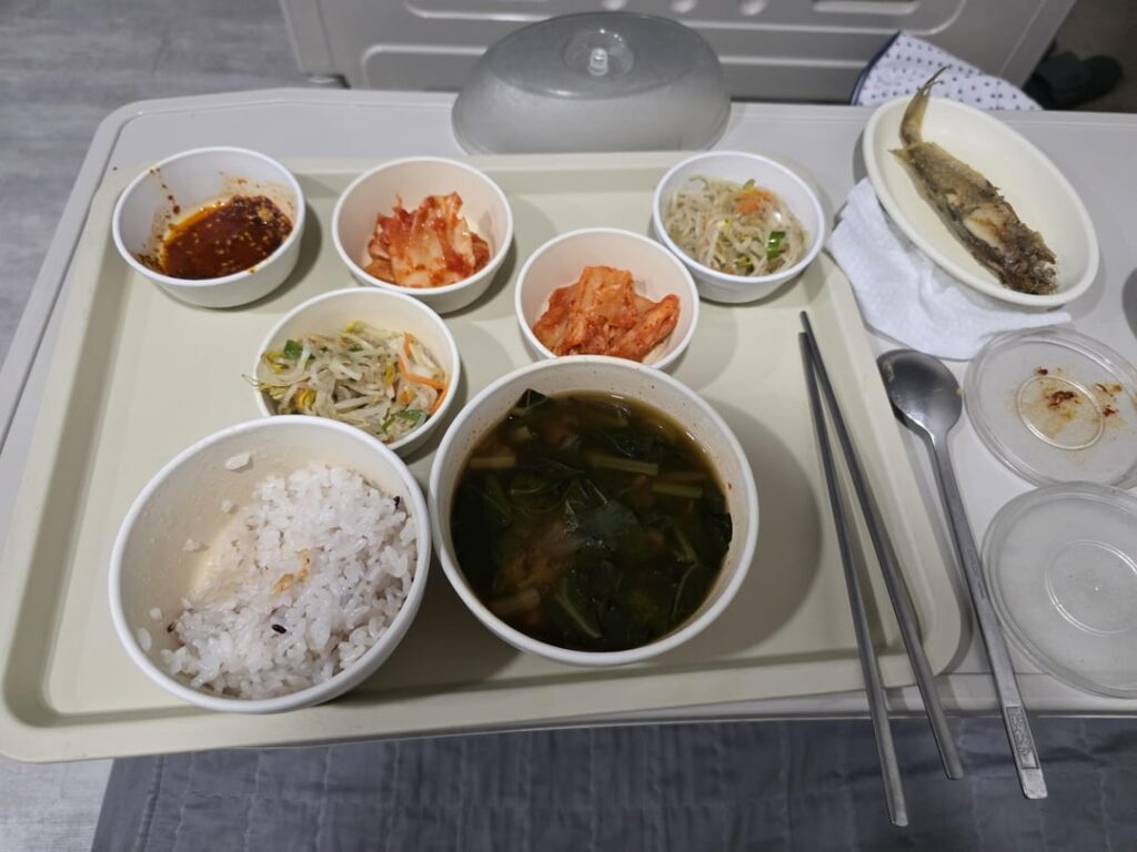 Three hospital food in Korea is SO good.