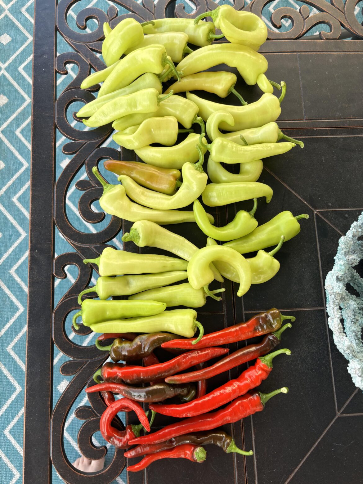 Came back from vacation and I had a nice suprise