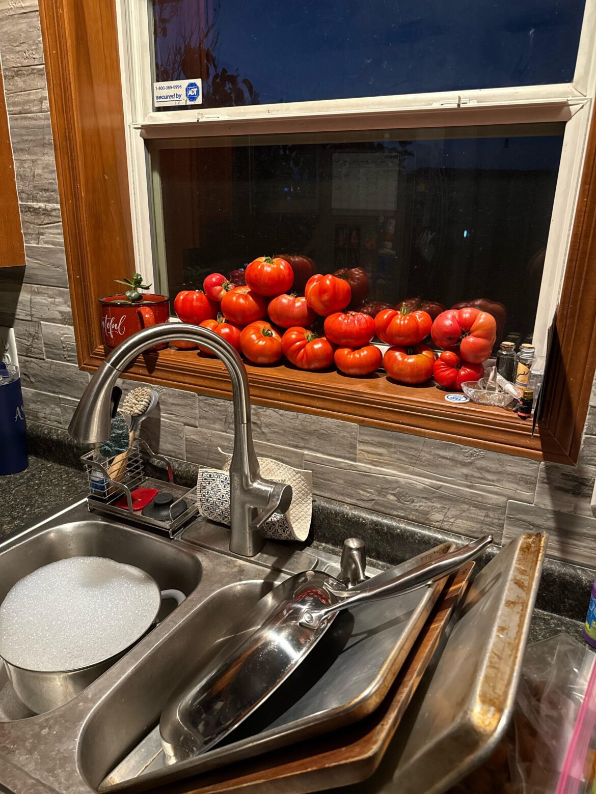 Do you guys like my sill of ripening?