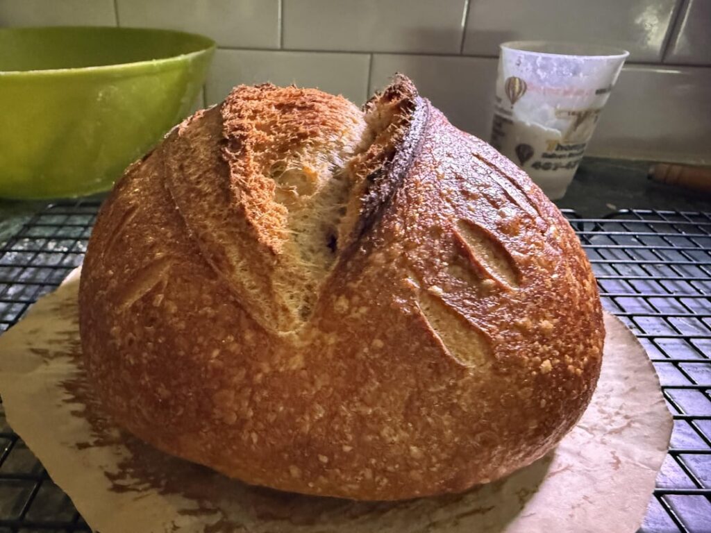 I Did Everything Wrong