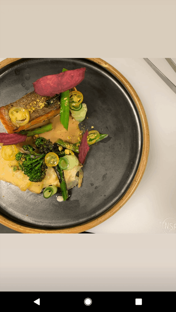 Salmon dish previous work spot (closed to Covid)