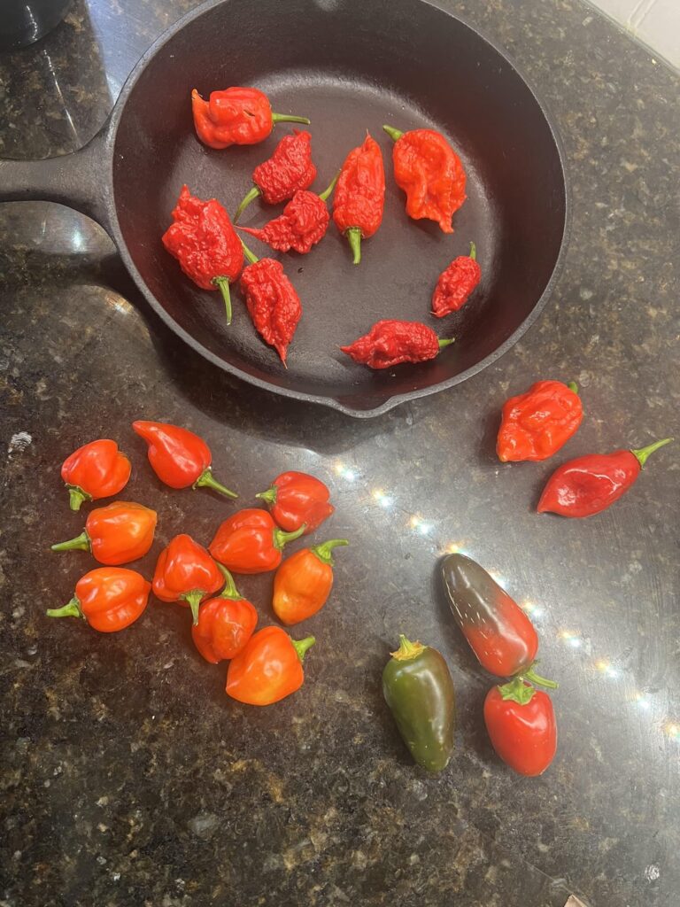 First time grower – what should I do with these? First time grower - what should I do with these?