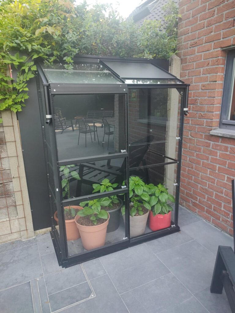 First plants I have grown from seed....