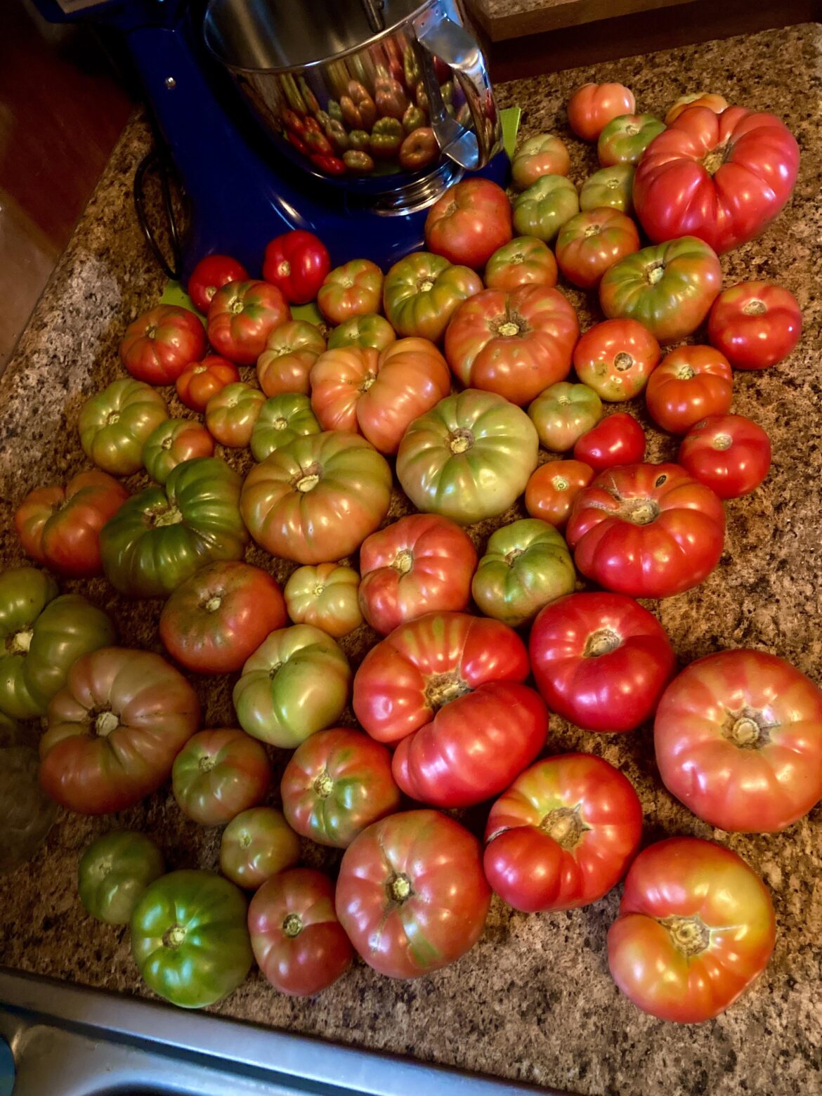 Picked these this morning. Still plenty more to come.  “Mortgage lifter” heirloom.