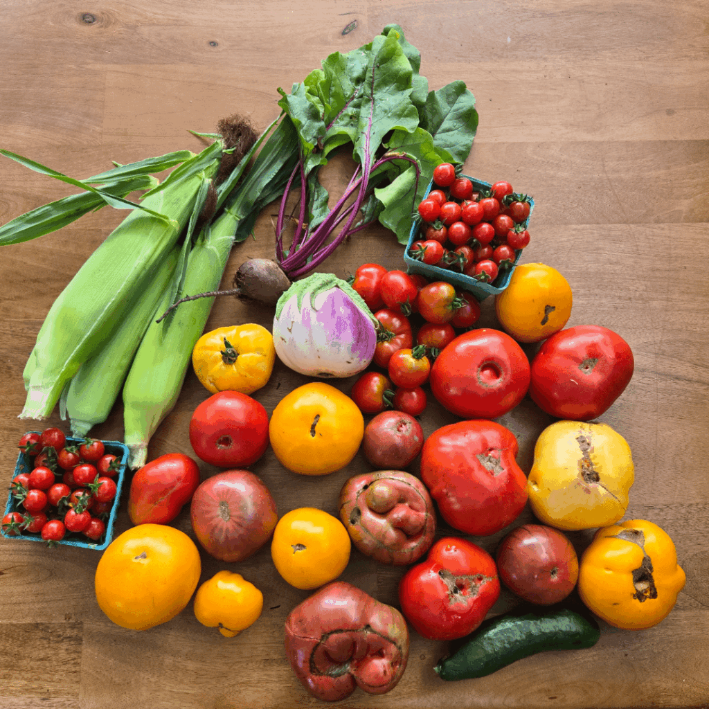 My biggest harvest yet! 5th year gardening