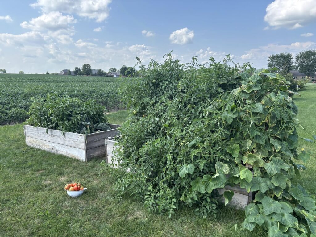 Anyone else have a problem overestimating in April, only to have a Jungle in July?