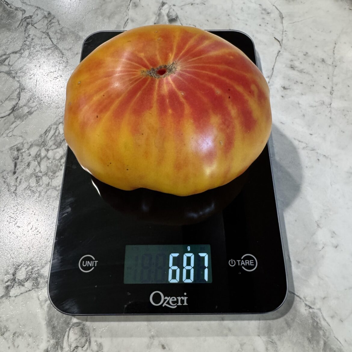 Finally picked this monster!