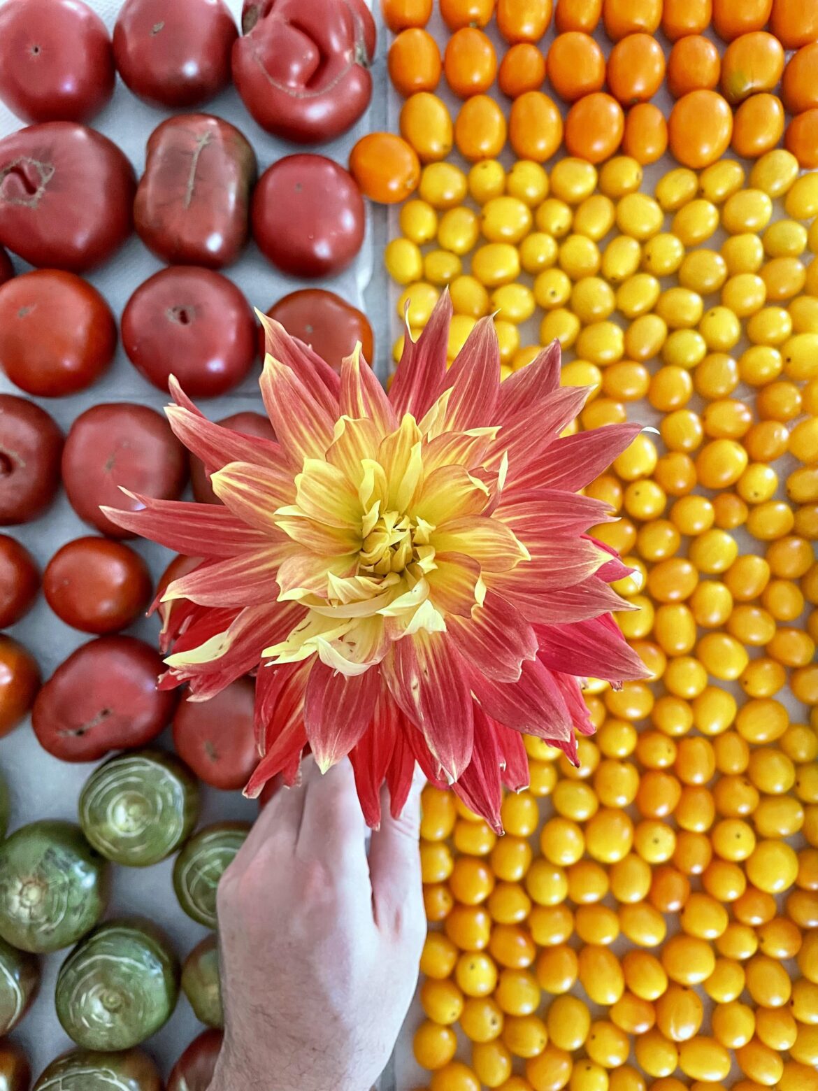 This time of year is so wonderful