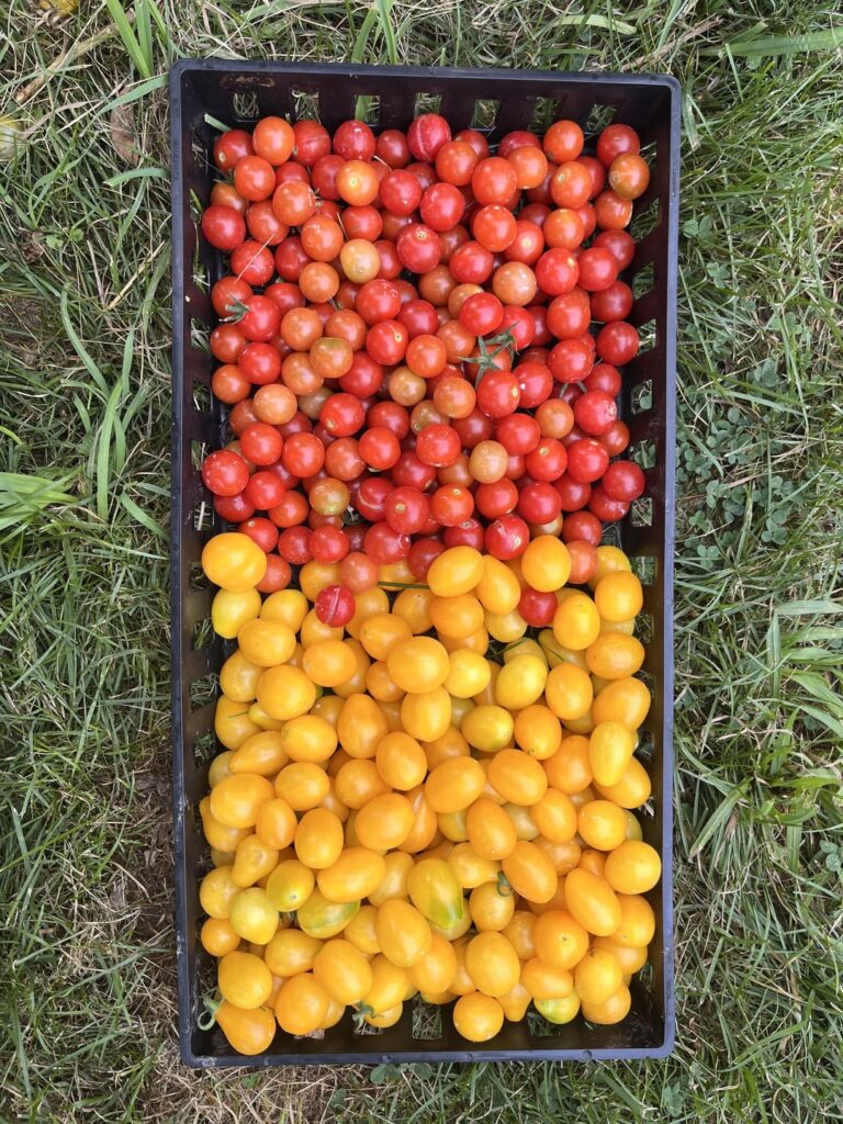 More time in the garden means more time in the kitchen