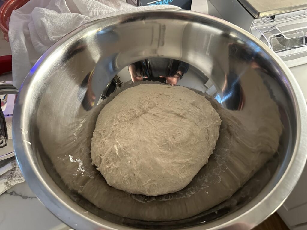 Here’s my first successful loaves to make it all the way and be edible. How’d I do?