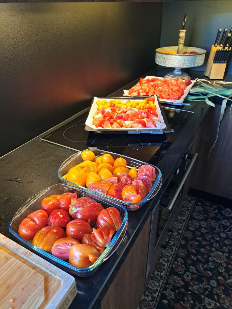 Roasted tomatosoup, with different types of tomatoes fresh from the garden