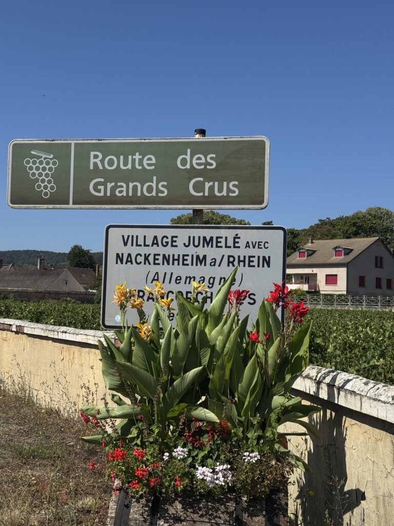 Traveling Burgundy Day 2