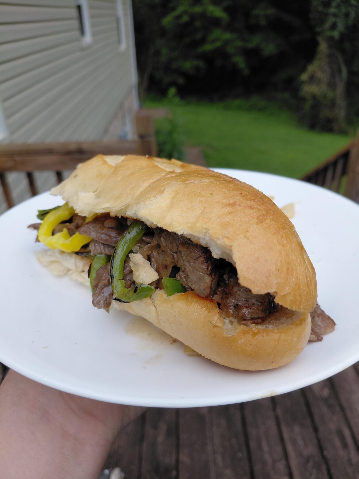 Steak sandwich
